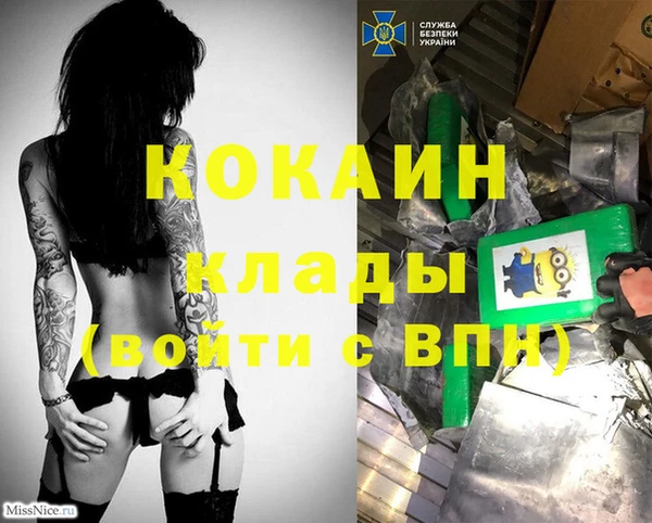 ГАЛЛЮЦИНОГЕННЫЕ ГРИБЫ Сосновый Бор