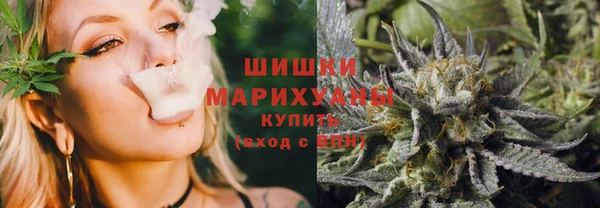 ГАЛЛЮЦИНОГЕННЫЕ ГРИБЫ Сосновый Бор